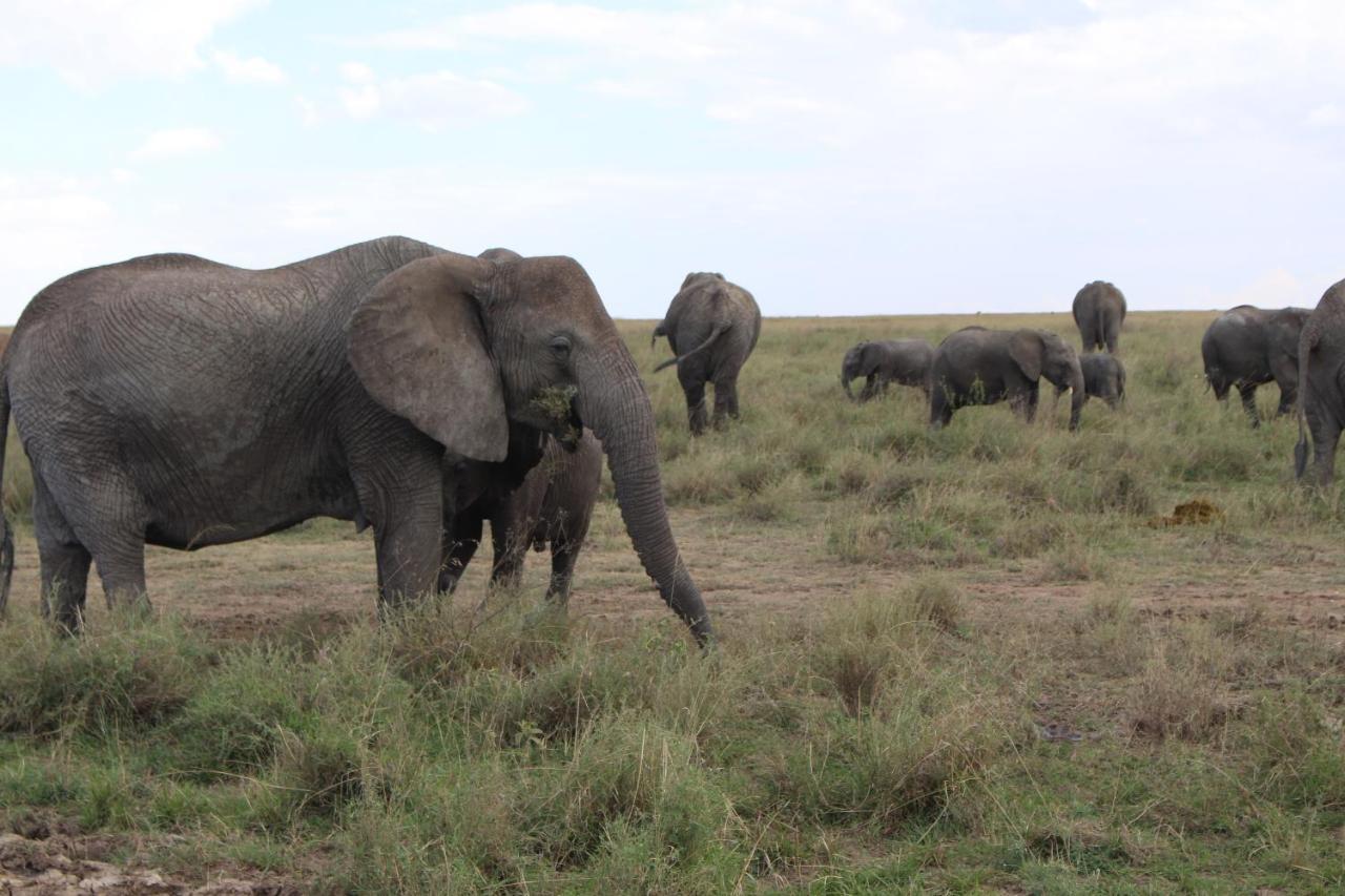 Mapito Tented Camp Serengeti Exterior foto